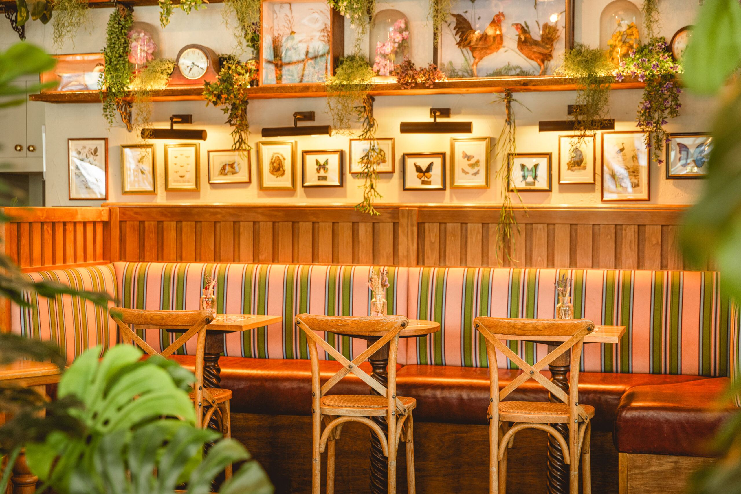 Mr Fogg’s House of Botanicals – Fitzrovia Venue Hire